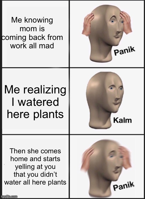 Always happens my mom is mean | Me knowing mom is coming back from work all mad; Me realizing I watered here plants; Then she comes home and starts yelling at you that you didn’t water all here plants | image tagged in memes,panik kalm panik | made w/ Imgflip meme maker