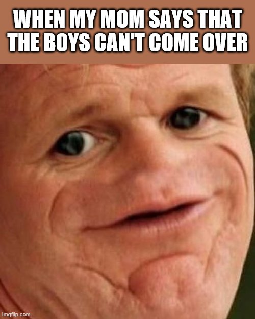 SOSIG | WHEN MY MOM SAYS THAT THE BOYS CAN'T COME OVER | image tagged in sosig | made w/ Imgflip meme maker