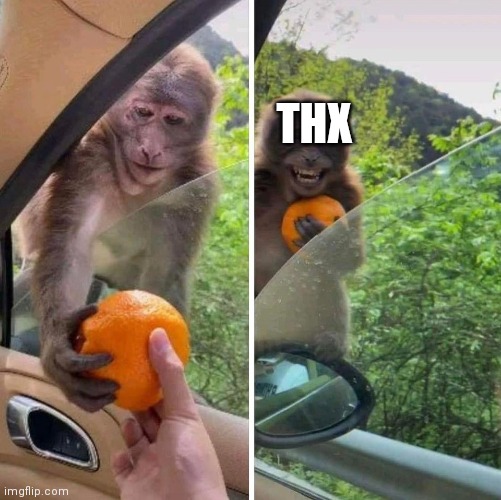 monkey getting an orange | THX | image tagged in monkey getting an orange | made w/ Imgflip meme maker