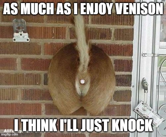 Mixed Emotions |  AS MUCH AS I ENJOY VENISON; I THINK I'LL JUST KNOCK | image tagged in venison,doorbell,memes,funny,funny memes | made w/ Imgflip meme maker