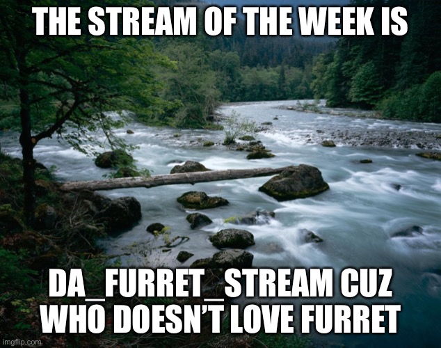 Number ??? |  THE STREAM OF THE WEEK IS; DA_FURRET_STREAM CUZ WHO DOESN’T LOVE FURRET | image tagged in river | made w/ Imgflip meme maker