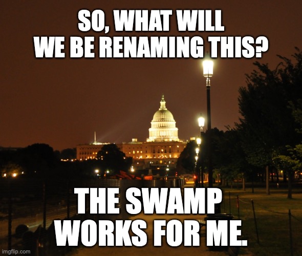 Next, we'll have to rename Washington, District of Columbia. Fine with me... | SO, WHAT WILL WE BE RENAMING THIS? THE SWAMP 
WORKS FOR ME. | image tagged in washington dc night,cancel culture,crazy,activism,america,haters | made w/ Imgflip meme maker