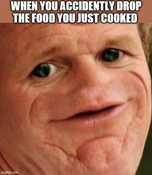 SOSIG | WHEN YOU ACCIDENTLY DROP THE FOOD YOU JUST COOKED | image tagged in sosig | made w/ Imgflip meme maker