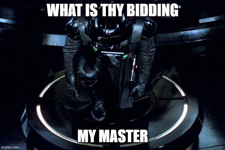 Darth Vader Kneeling | WHAT IS THY BIDDING MY MASTER | image tagged in darth vader kneeling | made w/ Imgflip meme maker