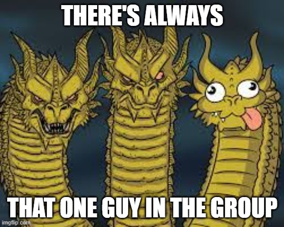 THERE'S ALWAYS; THAT ONE GUY IN THE GROUP | image tagged in memes | made w/ Imgflip meme maker
