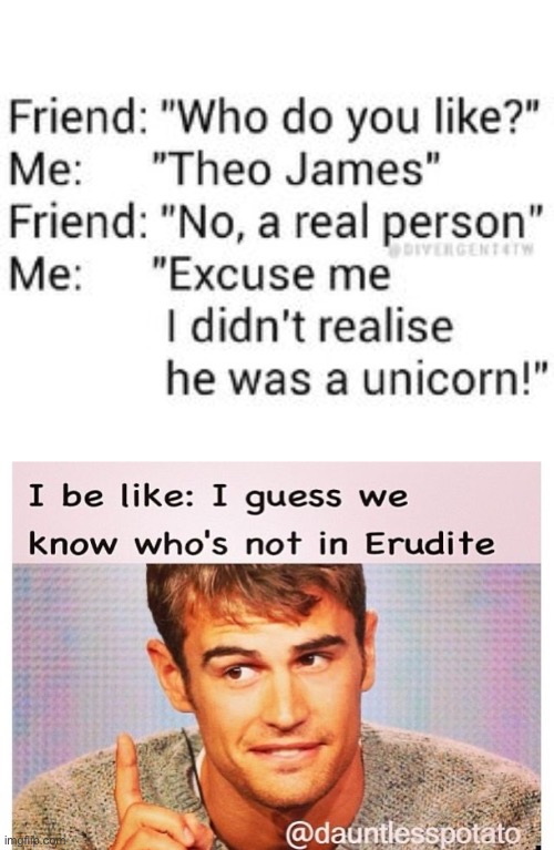image tagged in dauntless,divergent,theo james,idiots | made w/ Imgflip meme maker