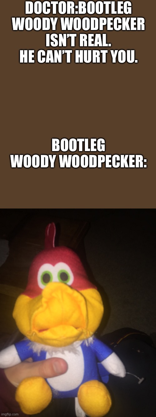 Bootleg woody woodpecker | DOCTOR:BOOTLEG WOODY WOODPECKER ISN’T REAL. HE CAN’T HURT YOU. BOOTLEG WOODY WOODPECKER: | image tagged in bootleg woody woodpecker,woody woodpecker,memes,fun,doctor,he cannot hurt you | made w/ Imgflip meme maker