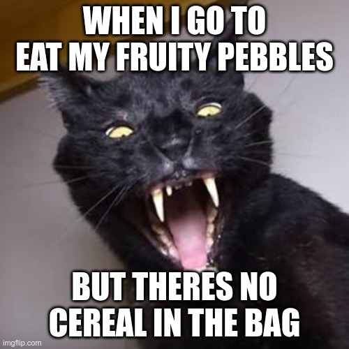 Fruity Pebbles | WHEN I GO TO EAT MY FRUITY PEBBLES; BUT THERES NO CEREAL IN THE BAG | image tagged in death kitten | made w/ Imgflip meme maker