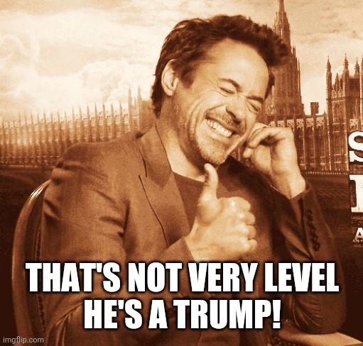 laughing | THAT'S NOT VERY LEVEL
HE'S A TRUMP! | image tagged in laughing | made w/ Imgflip meme maker