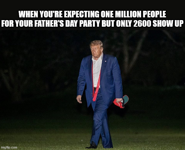 There's a term for father's like him, just not a second. | WHEN YOU'RE EXPECTING ONE MILLION PEOPLE FOR YOUR FATHER'S DAY PARTY BUT ONLY 2600 SHOW UP | image tagged in donald trump,sad but true,special kind of stupid | made w/ Imgflip meme maker