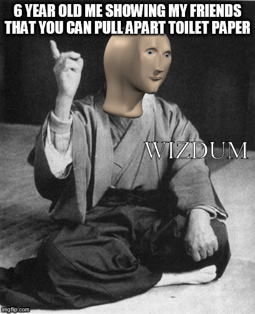 Wizdum | 6 YEAR OLD ME SHOWING MY FRIENDS THAT YOU CAN PULL APART TOILET PAPER | image tagged in wizdum | made w/ Imgflip meme maker