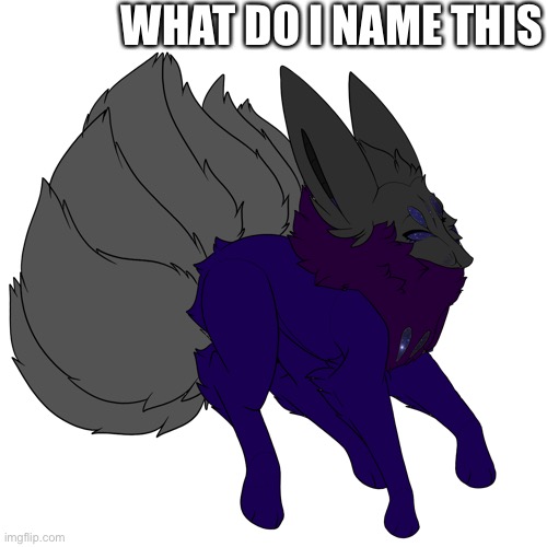 Probably naming it kimona | WHAT DO I NAME THIS | made w/ Imgflip meme maker