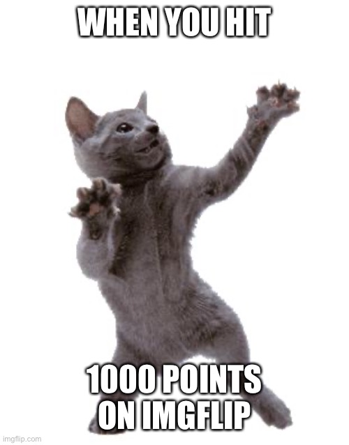When you hit 1000 pts | WHEN YOU HIT; 1000 POINTS ON IMGFLIP | image tagged in happy dance cat,imgflip,1000 points,yay,cat,xd | made w/ Imgflip meme maker