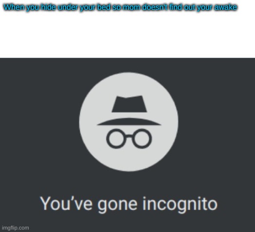 You've gone incognito | When you hide under your bed so mom doesn't find out your awake | image tagged in you've gone incognito | made w/ Imgflip meme maker