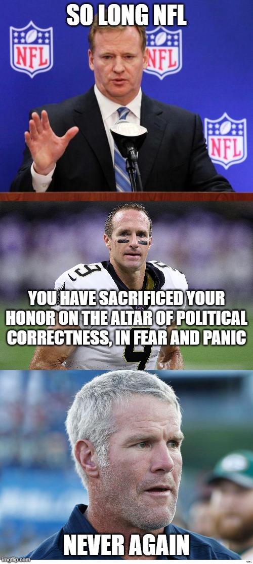 The NFL Is Now Just Another "Woke" Failure | SO LONG NFL; YOU HAVE SACRIFICED YOUR HONOR ON THE ALTAR OF POLITICAL CORRECTNESS, IN FEAR AND PANIC; NEVER AGAIN | image tagged in roger goodell,drew brees,brett favre,sellouts | made w/ Imgflip meme maker