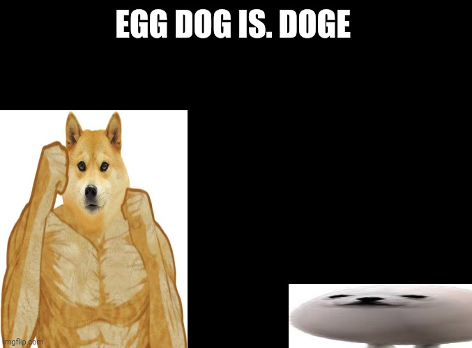 blank black | EGG DOG IS. DOGE | image tagged in blank black | made w/ Imgflip meme maker