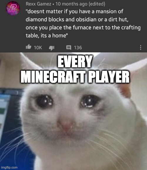 so true | EVERY MINECRAFT PLAYER | image tagged in crying cat | made w/ Imgflip meme maker