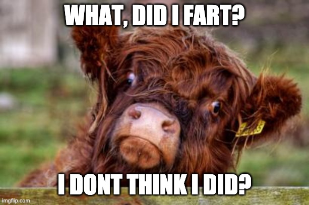 WHAT, DID I FART? I DONT THINK I DID? | made w/ Imgflip meme maker