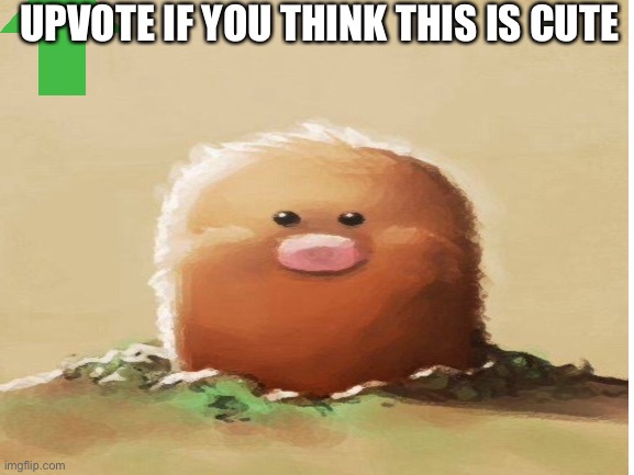 UPVOTE IF YOU THINK THIS IS CUTE | image tagged in blank,upvotes,pokemon | made w/ Imgflip meme maker