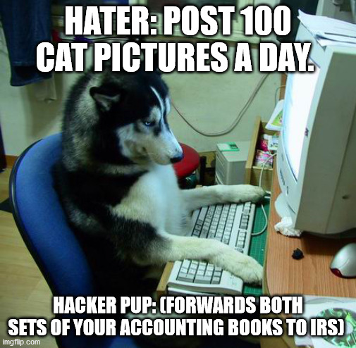 I Have No Idea What I Am Doing Meme | HATER: POST 100 CAT PICTURES A DAY. HACKER PUP: (FORWARDS BOTH SETS OF YOUR ACCOUNTING BOOKS TO IRS) | image tagged in memes,i have no idea what i am doing | made w/ Imgflip meme maker