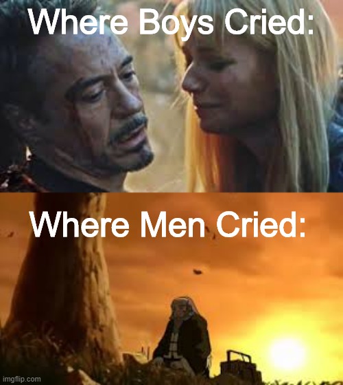 Sad Lad | Where Boys Cried:; Where Men Cried: | image tagged in meme | made w/ Imgflip meme maker