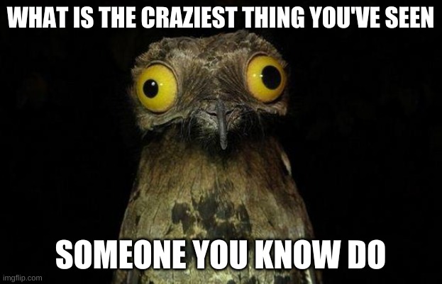 Weird Stuff I Do Potoo Meme | WHAT IS THE CRAZIEST THING YOU'VE SEEN; SOMEONE YOU KNOW DO | image tagged in memes,weird stuff i do potoo | made w/ Imgflip meme maker