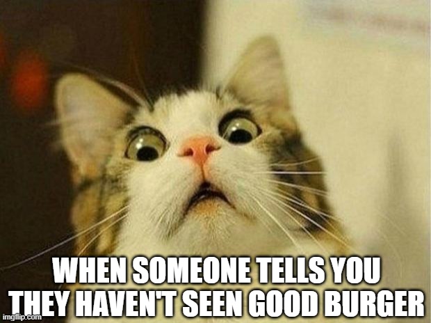 Good Burger Cat | WHEN SOMEONE TELLS YOU THEY HAVEN'T SEEN GOOD BURGER | image tagged in memes,scared cat,good burger,that face you make when,blasphemy,how dare you | made w/ Imgflip meme maker