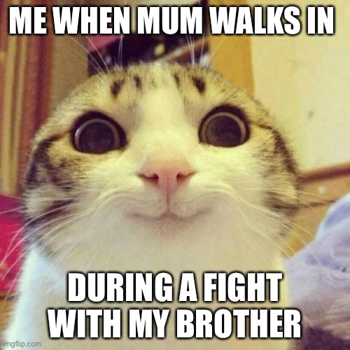 Smiling Cat Meme | ME WHEN MUM WALKS IN; DURING A FIGHT WITH MY BROTHER | image tagged in memes,smiling cat | made w/ Imgflip meme maker