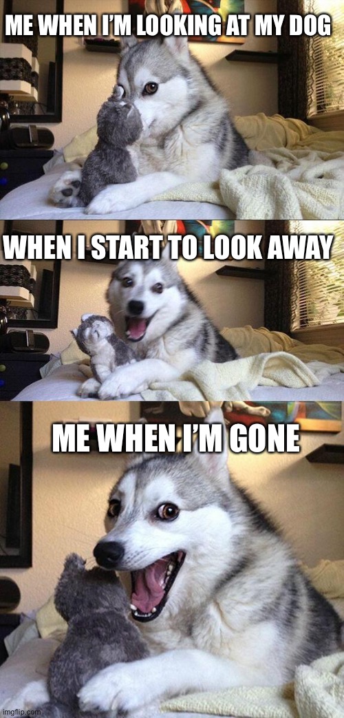 Lol | ME WHEN I’M LOOKING AT MY DOG; WHEN I START TO LOOK AWAY; ME WHEN I’M GONE | image tagged in memes,bad pun dog | made w/ Imgflip meme maker