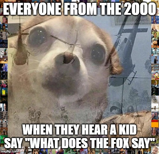 "What does the Fox, say?" | EVERYONE FROM THE 2OOO; WHEN THEY HEAR A KID SAY "WHAT DOES THE FOX SAY" | image tagged in ptsd chihuahua | made w/ Imgflip meme maker
