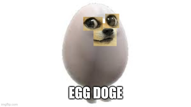 Egg Dog | EGG DOGE | image tagged in egg dog | made w/ Imgflip meme maker