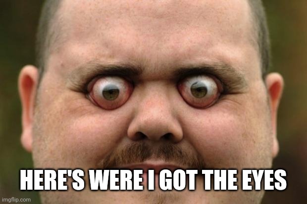 bulging eyes | HERE'S WERE I GOT THE EYES | image tagged in bulging eyes | made w/ Imgflip meme maker