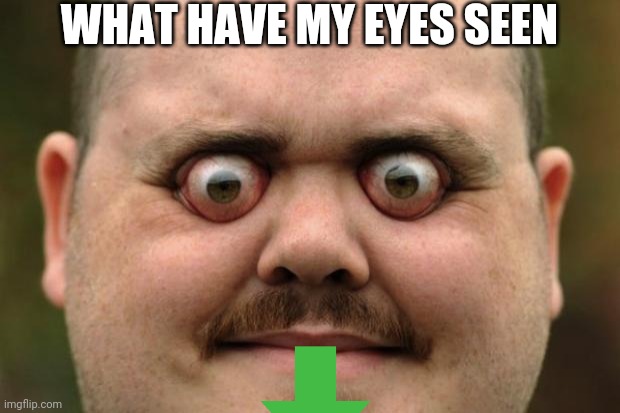bulging eyes | WHAT HAVE MY EYES SEEN | image tagged in bulging eyes | made w/ Imgflip meme maker