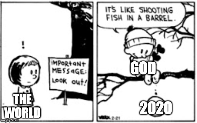 It's true | GOD; THE WORLD; 2020 | image tagged in calvin snowball drop | made w/ Imgflip meme maker
