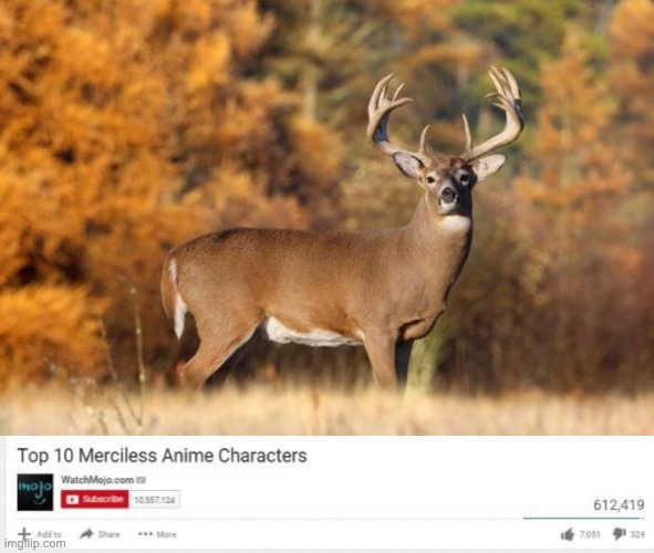 image tagged in whitetail deer,top 10 merciless anime characters | made w/ Imgflip meme maker