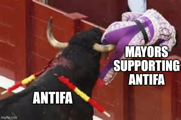 Mess with the bull you get the horn. | MAYORS SUPPORTING ANTIFA; ANTIFA | image tagged in karma | made w/ Imgflip meme maker