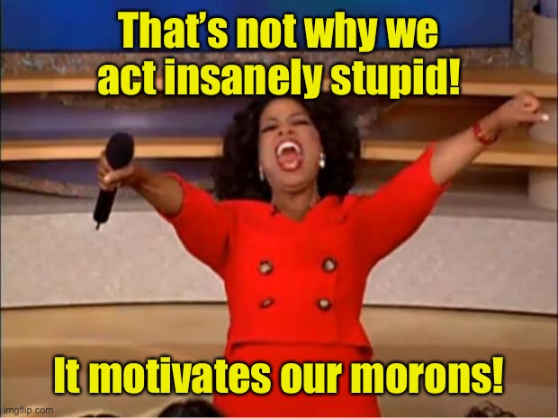 Oprah You Get A Meme | That’s not why we act insanely stupid! It motivates our morons! | image tagged in memes,oprah you get a | made w/ Imgflip meme maker