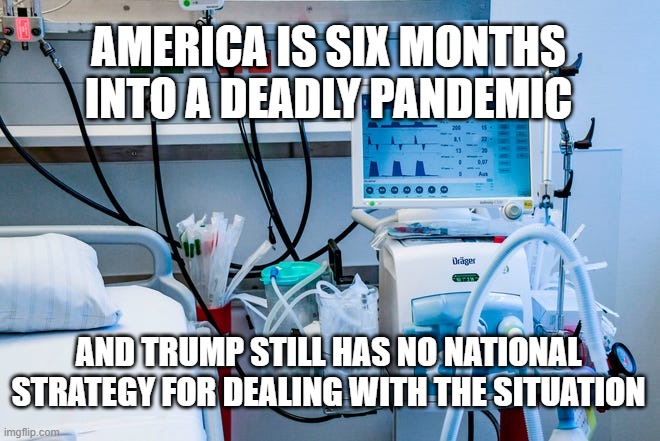 AMERICA IS SIX MONTHS INTO A DEADLY PANDEMIC; AND TRUMP STILL HAS NO NATIONAL STRATEGY FOR DEALING WITH THE SITUATION | image tagged in virus | made w/ Imgflip meme maker