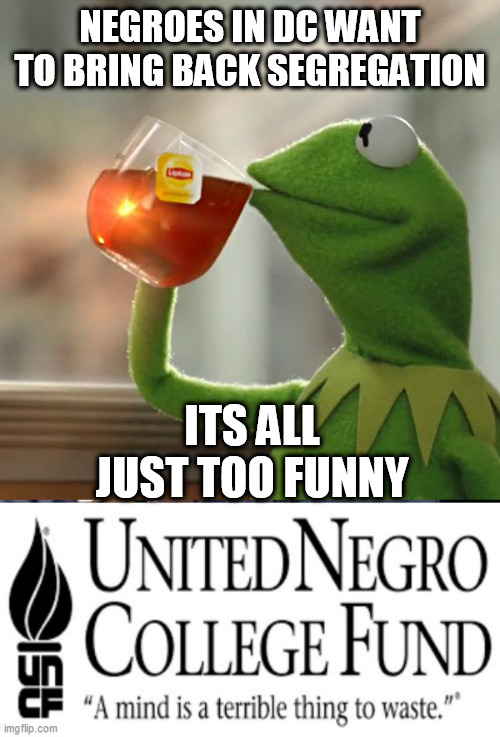 NEGROES IN DC WANT TO BRING BACK SEGREGATION; ITS ALL JUST TOO FUNNY | image tagged in memes,but that's none of my business | made w/ Imgflip meme maker