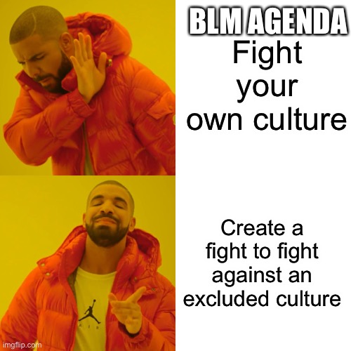 Drake Hotline Bling Meme | Fight your own culture Create a fight to fight against an excluded culture BLM AGENDA | image tagged in memes,drake hotline bling | made w/ Imgflip meme maker