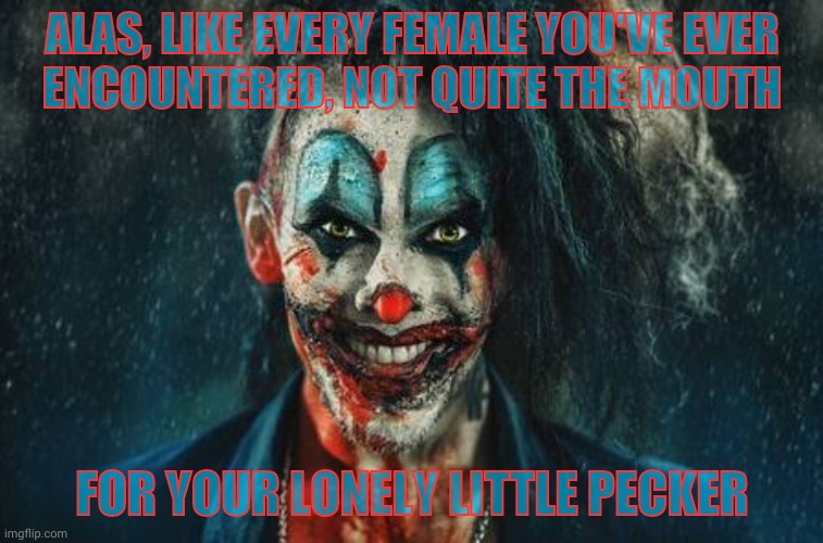 w | ALAS, LIKE EVERY FEMALE YOU'VE EVER    ENCOUNTERED, NOT QUITE THE MOUTH FOR YOUR LONELY LITTLE PECKER | made w/ Imgflip meme maker