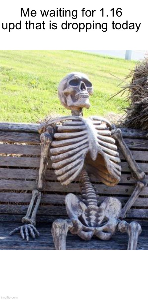 Yeah it’s coming out in June 23 | Me waiting for 1.16 upd that is dropping today | image tagged in memes,waiting skeleton,minecraft | made w/ Imgflip meme maker