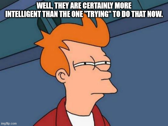 Futurama Fry Meme | WELL, THEY ARE CERTAINLY MORE INTELLIGENT THAN THE ONE "TRYING" TO DO THAT NOW. | image tagged in memes,futurama fry | made w/ Imgflip meme maker