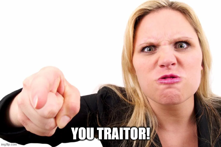 Offended woman | YOU TRAITOR! | image tagged in offended woman | made w/ Imgflip meme maker