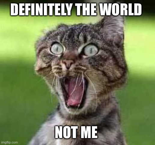 scared cat | DEFINITELY THE WORLD NOT ME | image tagged in scared cat | made w/ Imgflip meme maker