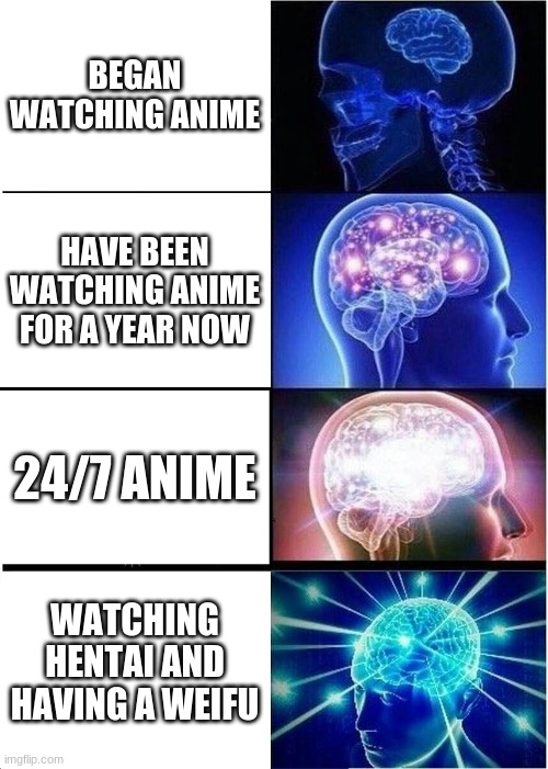 Expanding Brain Meme | BEGAN WATCHING ANIME; HAVE BEEN WATCHING ANIME FOR A YEAR NOW; 24/7 ANIME; WATCHING HENTAI AND HAVING A WEIFU | image tagged in memes,expanding brain | made w/ Imgflip meme maker