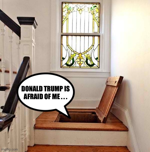 From a house located somewhere in Delaware... | DONALD TRUMP IS AFRAID OF ME . . . | image tagged in from the biden basement,Conservative | made w/ Imgflip meme maker