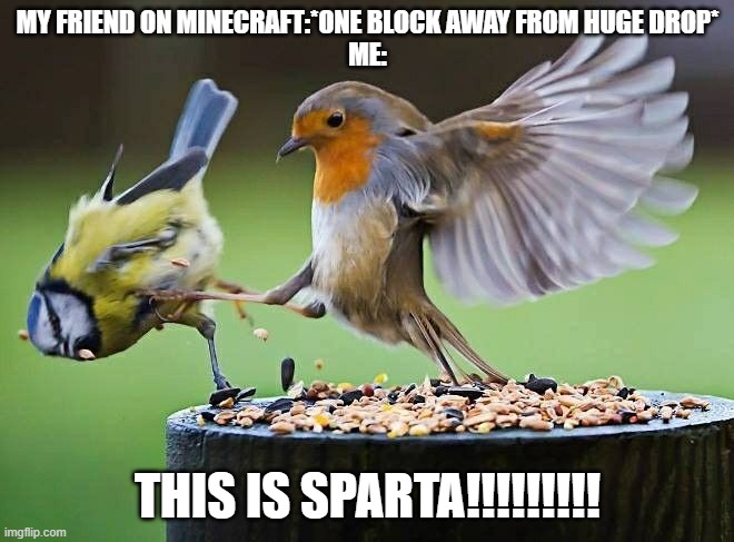 This is Sparta Robin | MY FRIEND ON MINECRAFT:*ONE BLOCK AWAY FROM HUGE DROP*
ME:; THIS IS SPARTA!!!!!!!!! | image tagged in this is sparta | made w/ Imgflip meme maker