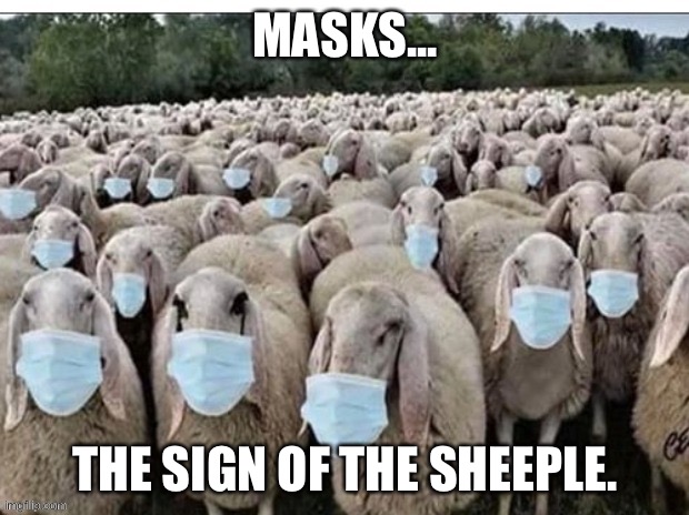 Mask Sheeple | MASKS... THE SIGN OF THE SHEEPLE. | image tagged in masks,mask,sheep | made w/ Imgflip meme maker