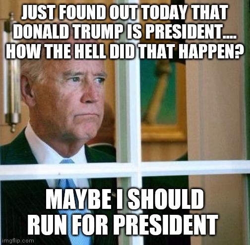 Sad Joe Biden | JUST FOUND OUT TODAY THAT DONALD TRUMP IS PRESIDENT.... HOW THE HELL DID THAT HAPPEN? MAYBE I SHOULD RUN FOR PRESIDENT | image tagged in sad joe biden | made w/ Imgflip meme maker